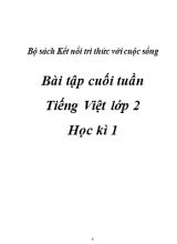 Phiếu bài tập cuối tuần môn Tiếng Việt Lớp 2 - Chương trình học kì I (Bộ sách Kết nối tri thức với cuộc sống)